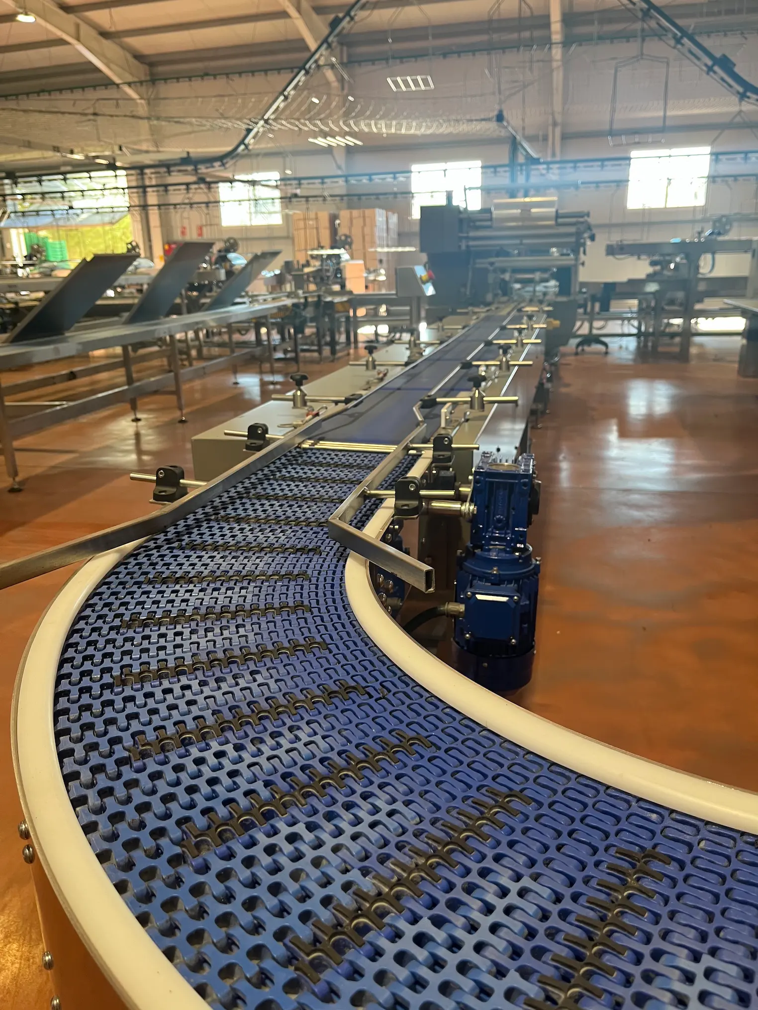 Cinta transportadora industrial en fábrica moderna
